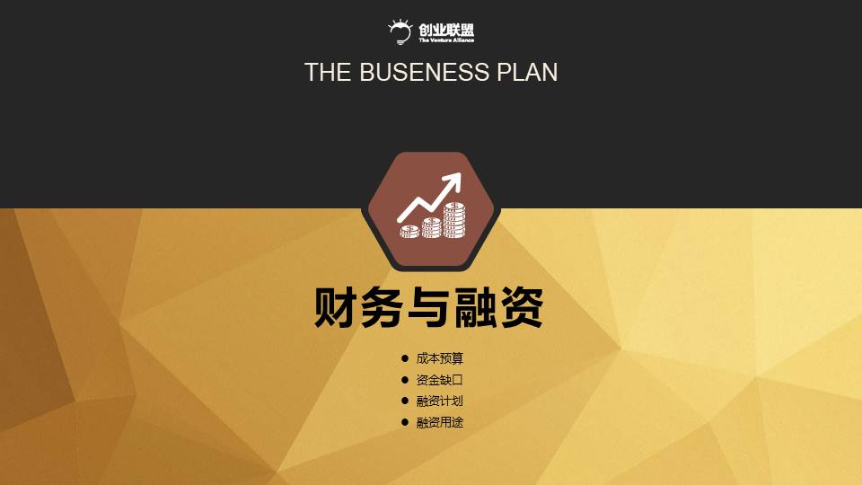 项目策划 (46).pptx